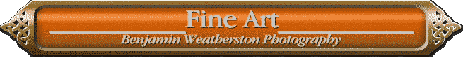 __________Fine Art__________    